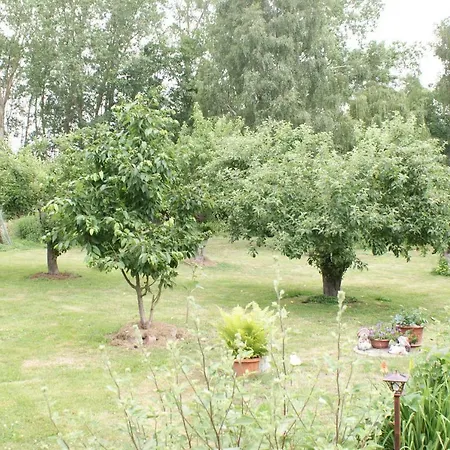 Reetdachidylle Mit Terrasse & Balkon - Abc194 Apartment *